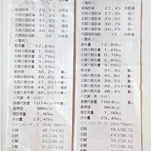 ファスティング　7日間前→後　ウエスト－４ｃｍ