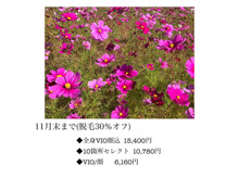 全身脱毛のご予約はお早めに