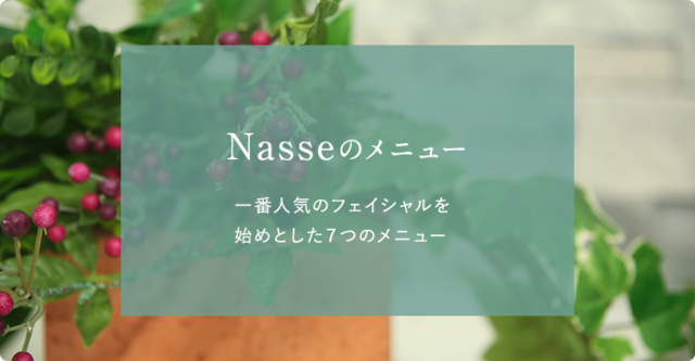 Nasseのメニュー